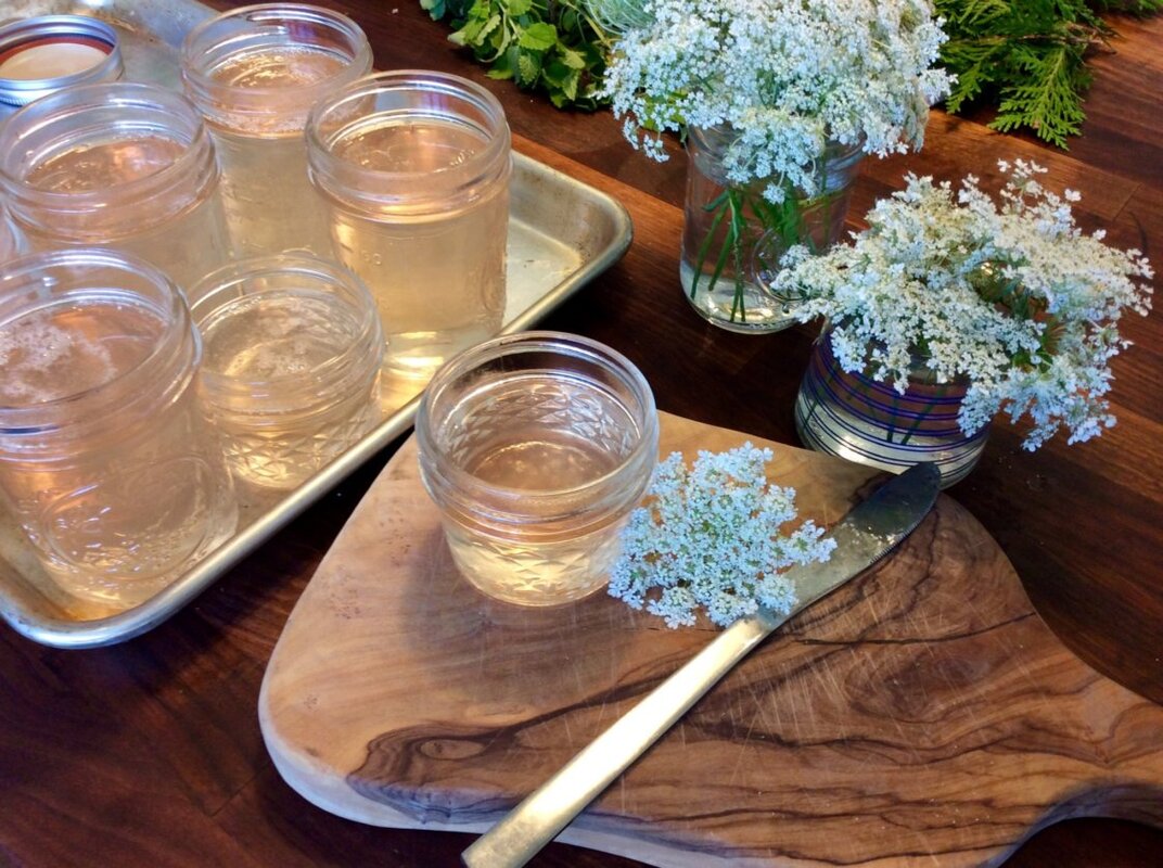 Queen Anne' Lace is a Beautiful Wildflower + Herb (use caution) --  Delicious Jelly! :)